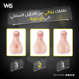 الأحليل السفلي
